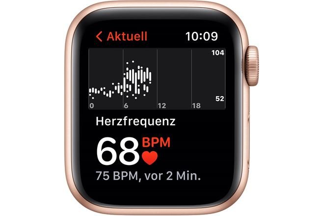Apple Watch SE (40mm) GPS gold/polarstern