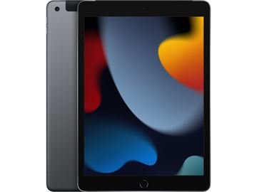 Apple iPad (256GB) WiFi + 4G space grey (Space Grau)