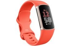 Fitbit Charge 6 (coral band/champag)
